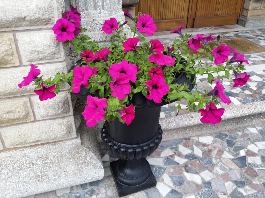 Le Castel Guesthouse Bayeux Bagian luar foto